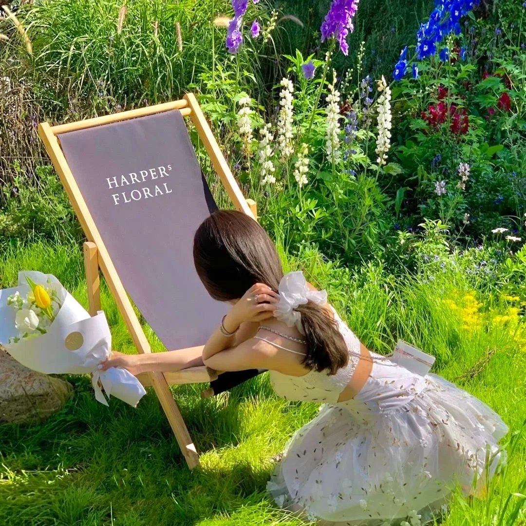 风骚律师第二季