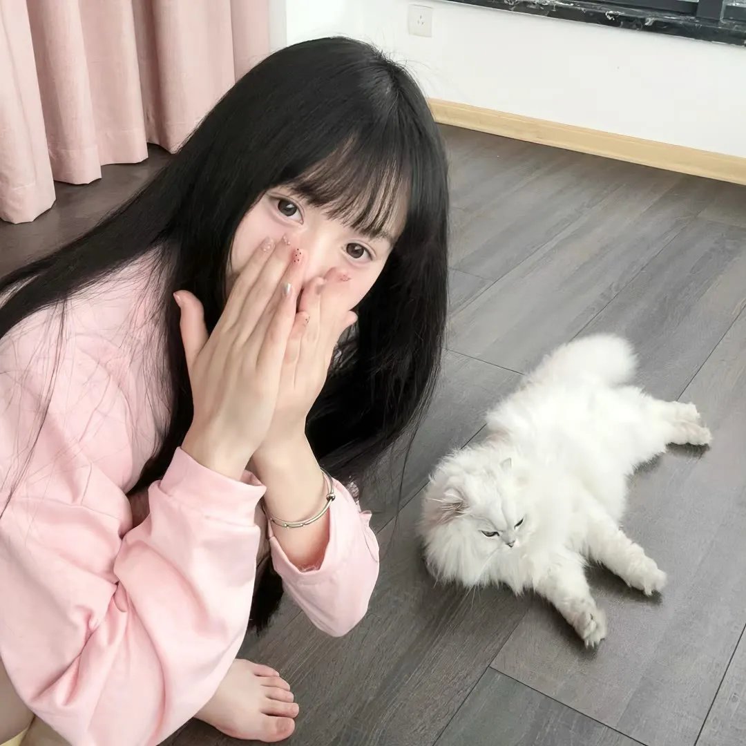 51号公式